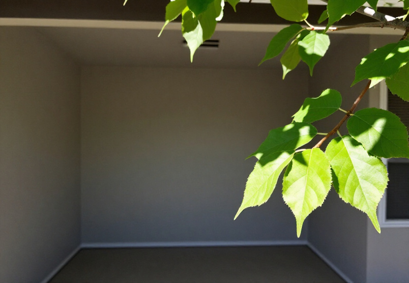 Tree Pruning in Boise Bench